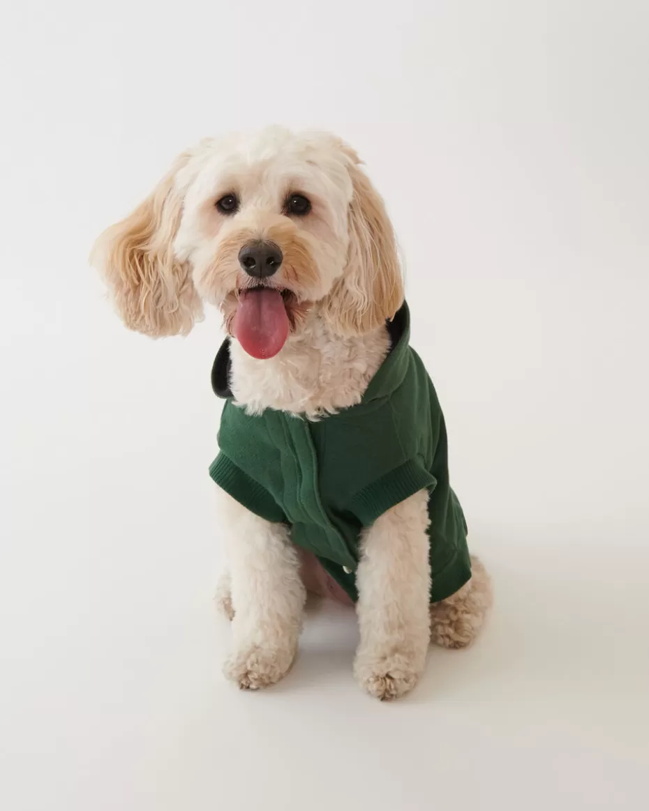 Shop Roots Pooch Original Kanga Size 24 PARK GREEN